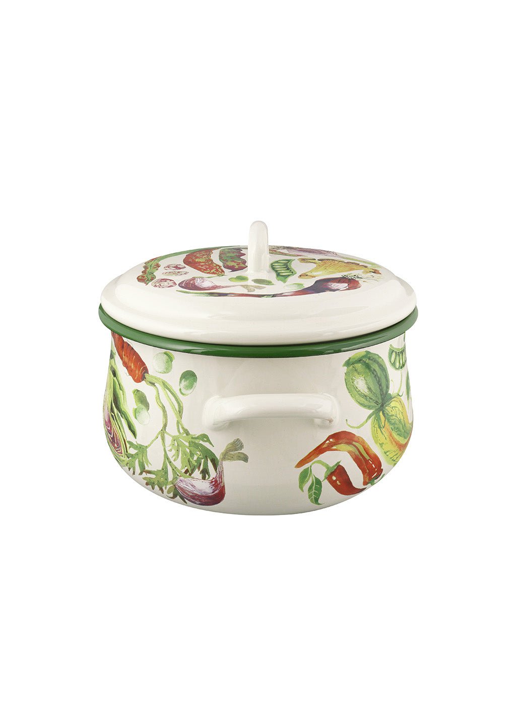 Mixed Vegetable Enamel Medium Cooking Pot