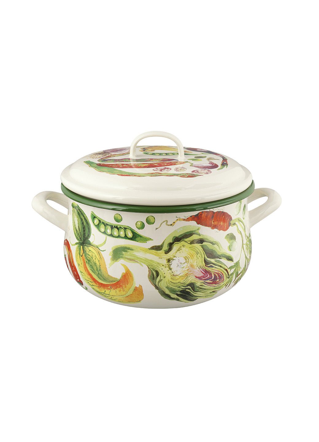 Mixed Vegetable Enamel Medium Cooking Pot